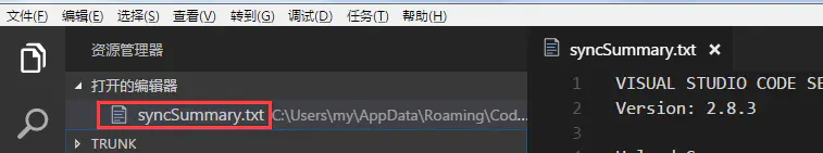 VSCode 同步设置插件 - 图7