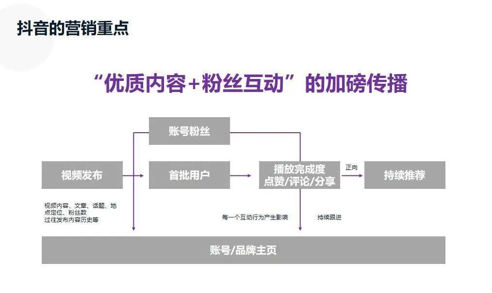 鸟哥笔记,新媒体运营,馒头商学院,抖音,小红书,总结,知乎,抖音,增长,涨粉,微信