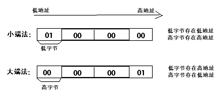 NumPy入门 - 图1