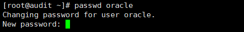 cetnos7.5安装oracle11c-实施文档 - 图53