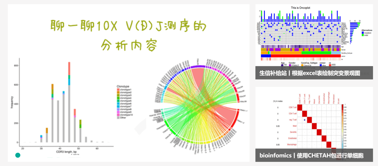 我的挣扎 与 TBtools 的开发 - 图28