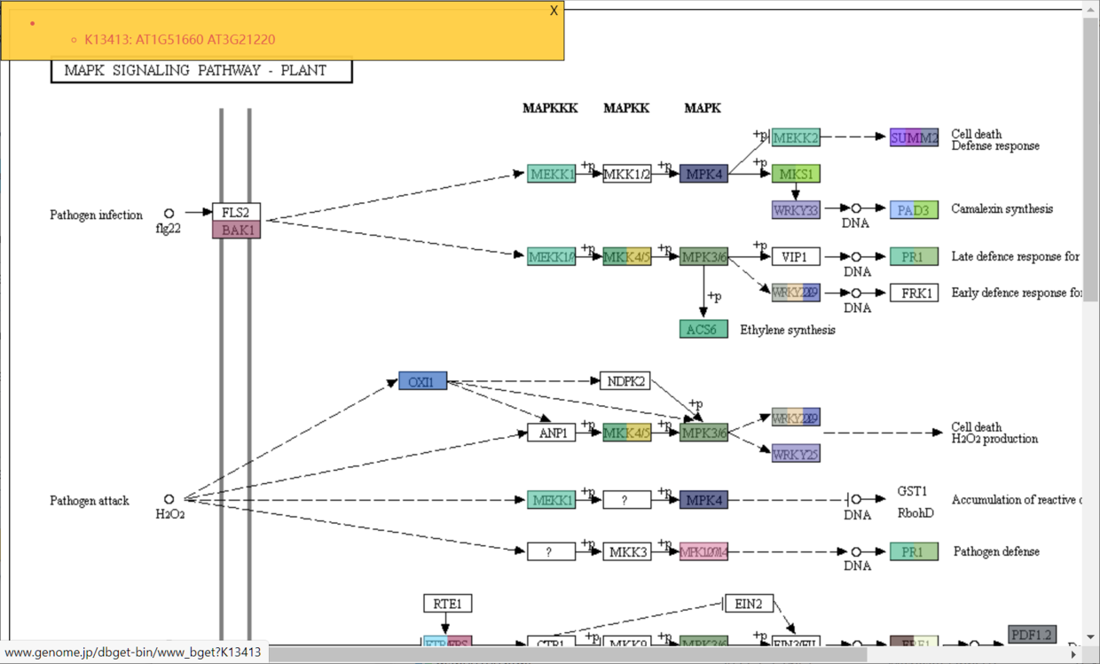 动态交互！感兴趣的基因标记在 KEGG Pathway 通路图上 - 图14