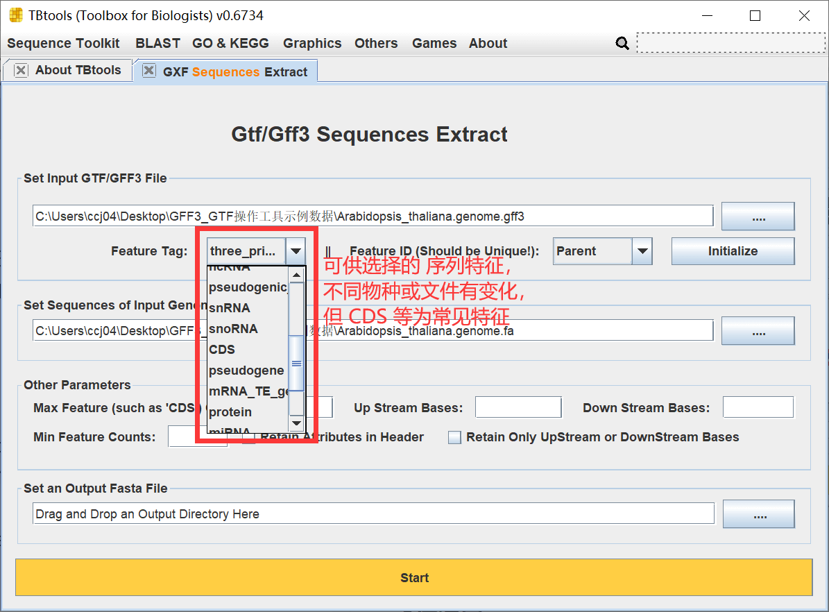 TBtools | 地球最友好的 GFF3/GTF 序列提取工具 - 图4