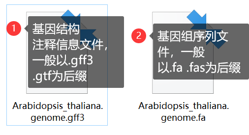 TBtools | 地球最友好的 GFF3/GTF 序列提取工具 - 图2