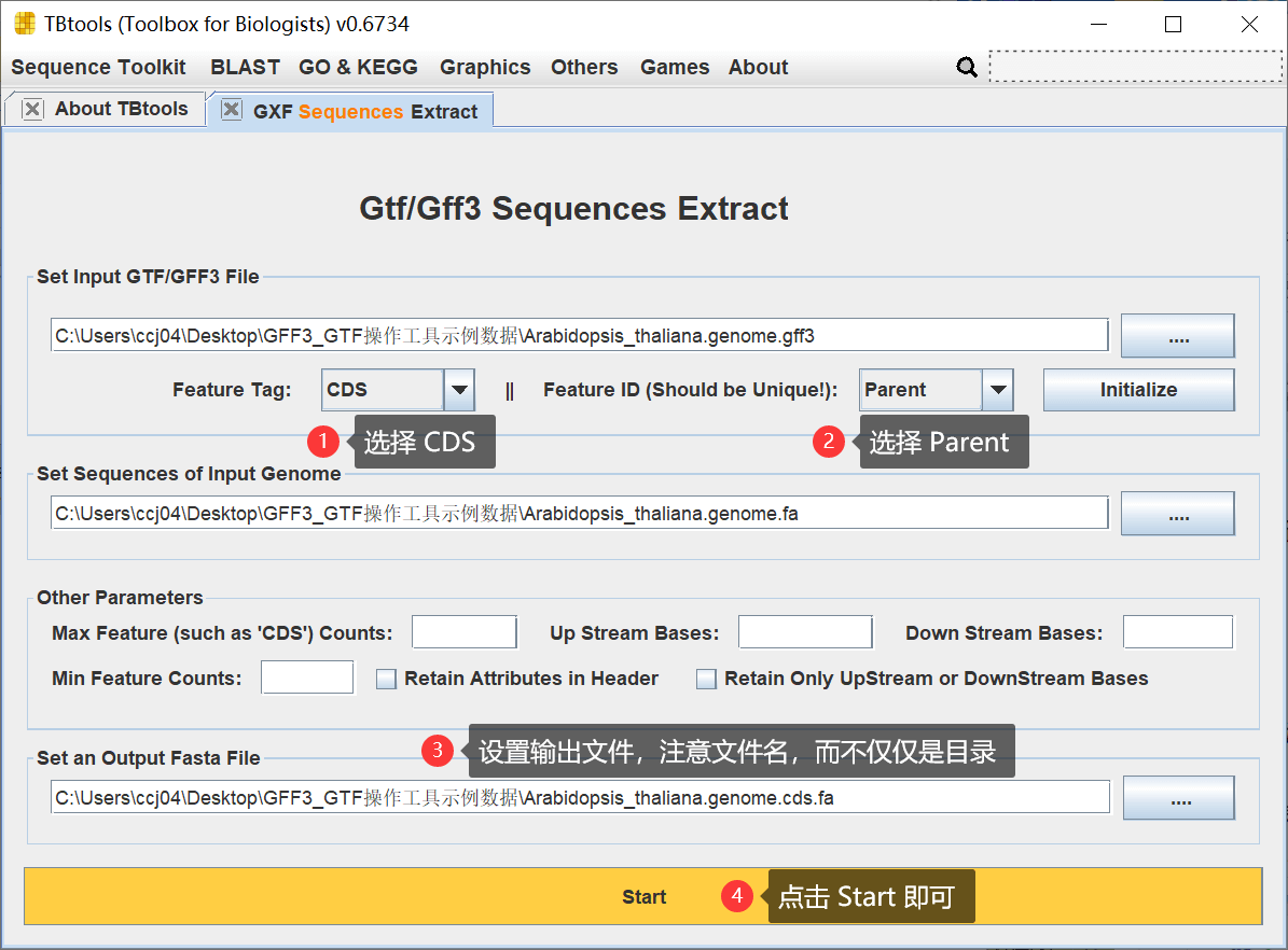 TBtools | 地球最友好的 GFF3/GTF 序列提取工具 - 图6