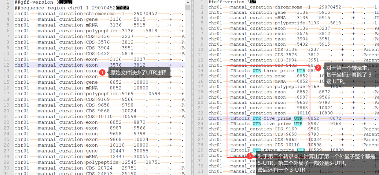 贴心 | GXF Fix 修复 / 优化基因结构注释信息文件 - GTF/GFF3 - 图6
