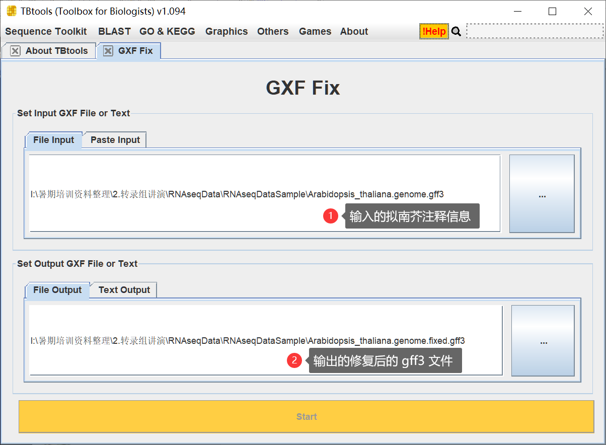 贴心 | GXF Fix 修复 / 优化基因结构注释信息文件 - GTF/GFF3 - 图3
