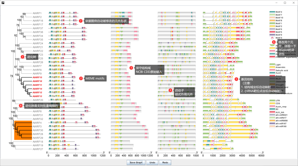 TBtools | 多图合一至强版教程！进化树   Motifs   结构域   启动子   基因结构   .... - 图2
