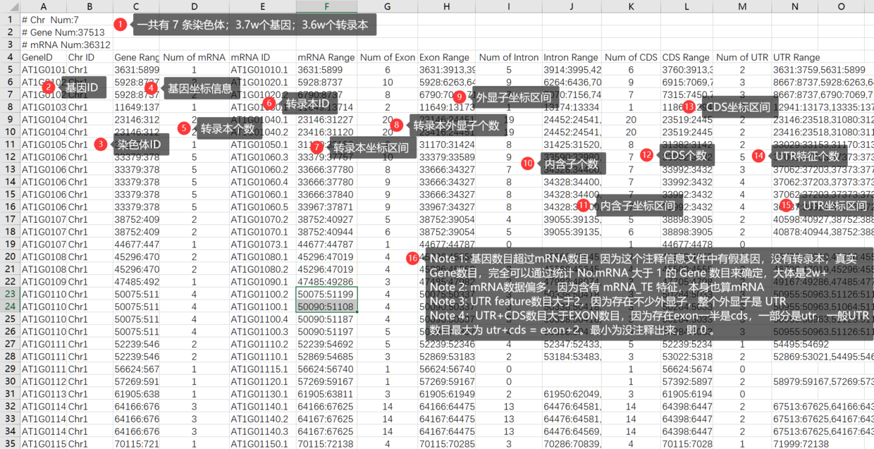 稀有 | GXF Stat 一次统计物种的Gene/mRNA/Exon/Intron/CDS/UTR...信息 - 图1