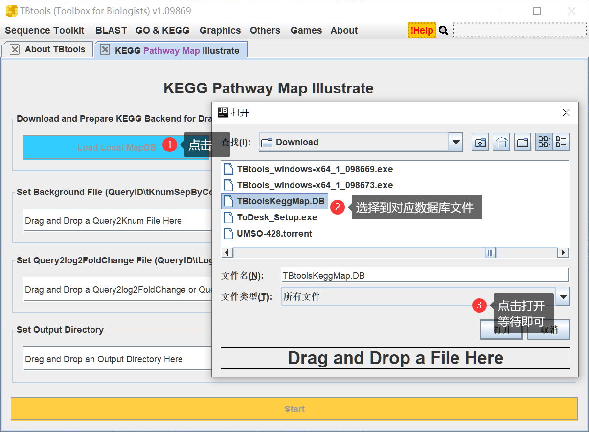 动态交互！感兴趣的基因标记在 KEGG Pathway 通路图上 - 图7