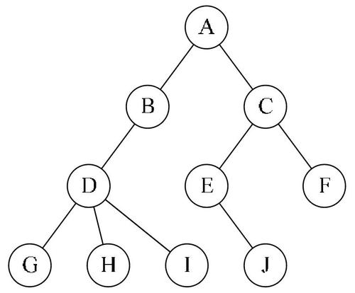 4-5 二叉树 - 图1
