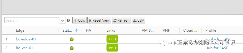 💮7x03 SD-WAN 漫步云网端·多样的SD-WAN by VeloCloud拓扑 - 图12