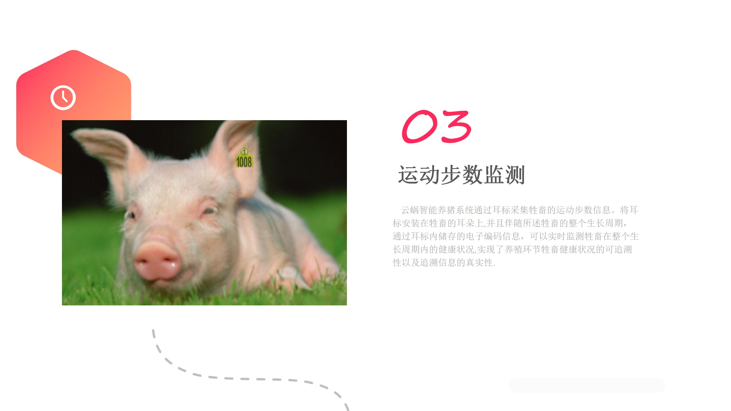 智能养猪 - 图7