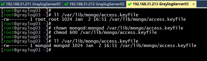 Graylog4.2集群部署完整教程 - 图7