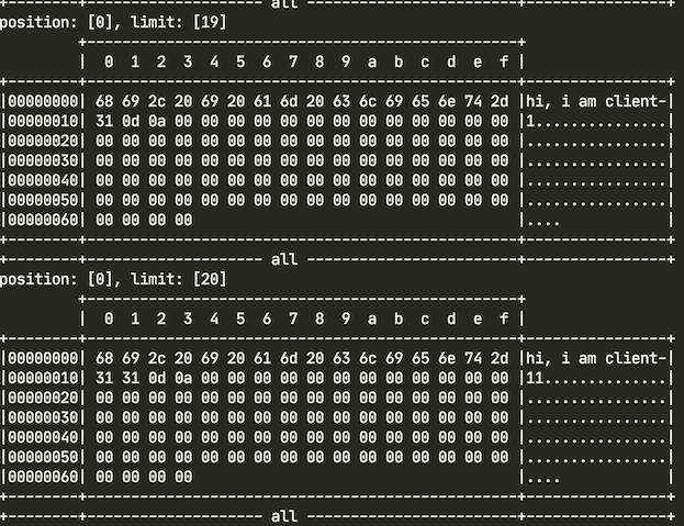 【NIO】— ServerSocketChannel 的缺陷 - 图4