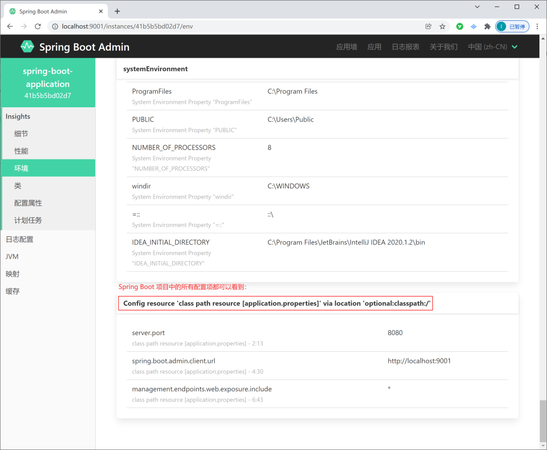 SpringBoot Admin——可视化管理和查看SpringBoot项目 - 图16