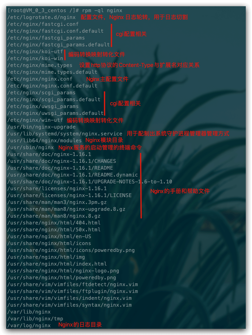 Nginx 从入门到实践 - 图7