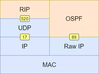 OSPF：最常用的动态路由协议 - 图7