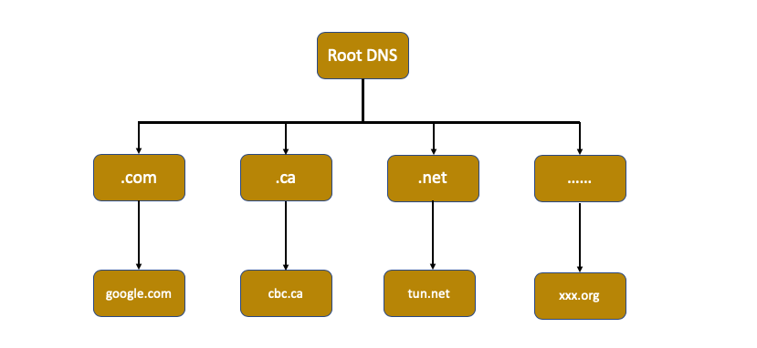 DNS 解析 - 图1
