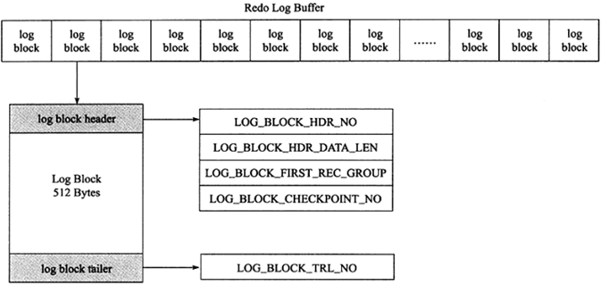 事务日志：redo log 和 undo log - 图5