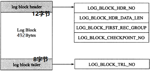 事务日志：redo log 和 undo log - 图4