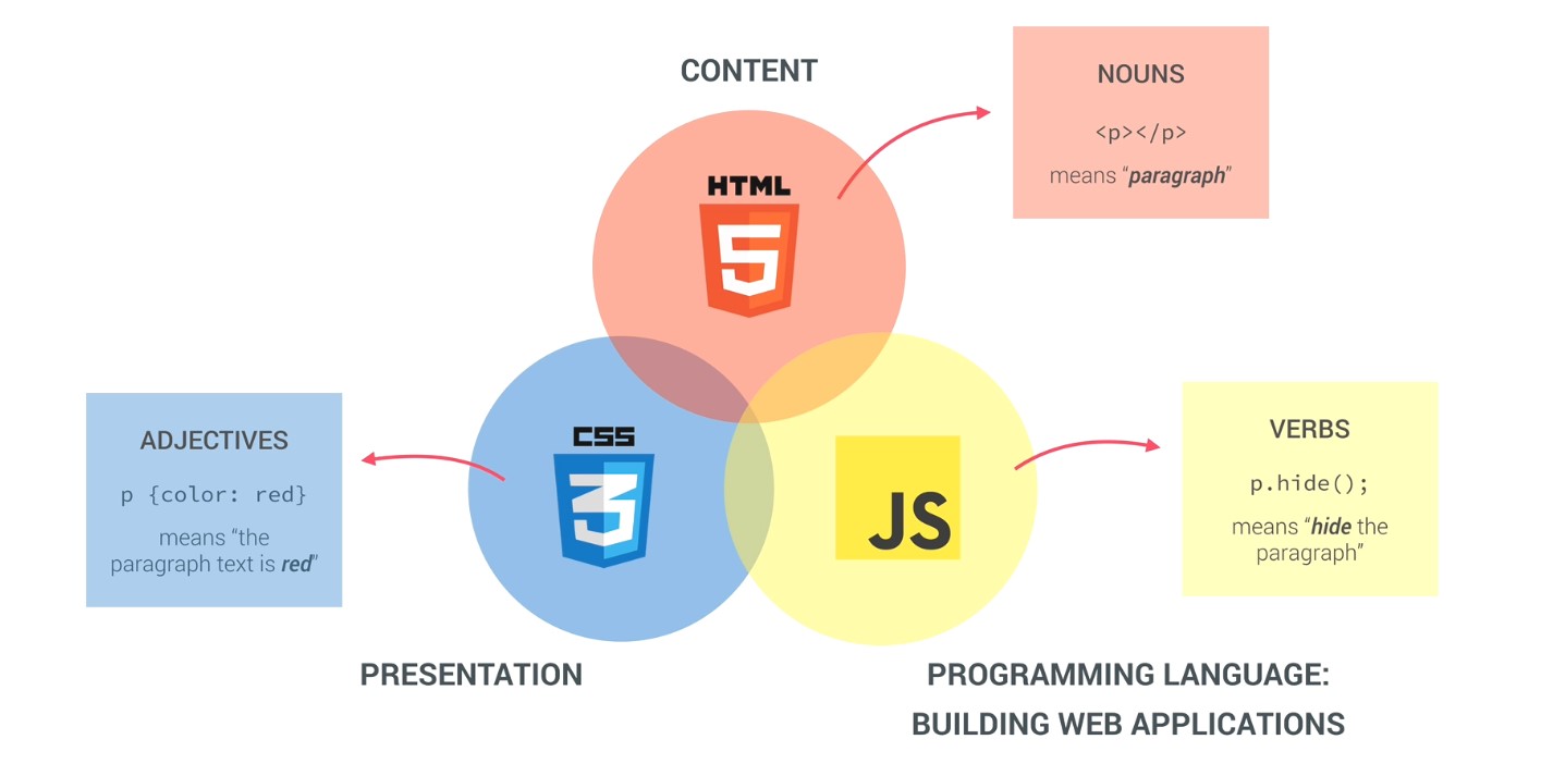 the role of javascript in web development.jpg