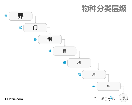 『多级目录结构』在移动端的交互设计 - 图4