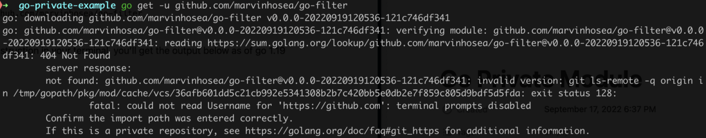 Visual code depicting how to download the go private module using go get