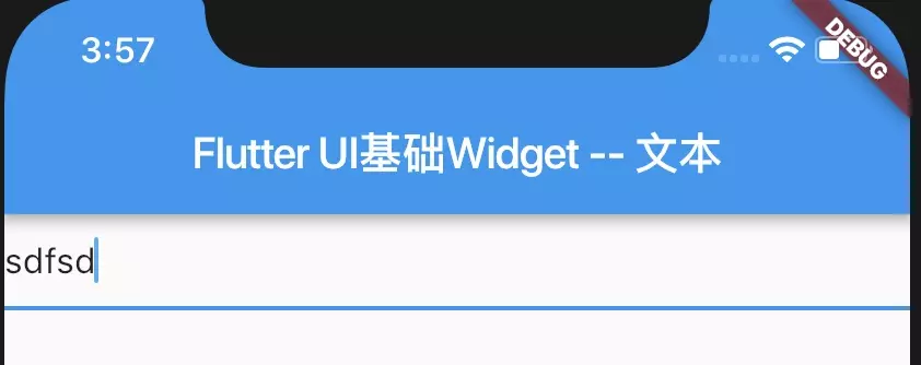 Flutter 学习（十三）基础 Widget - 输入框和表单 - 图1