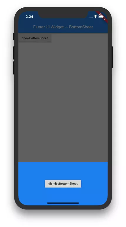 Flutter 学习（十六）基础 Widget - BottomSheet - 图2