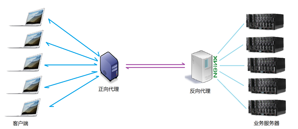 nginx - 简介 - 图3
