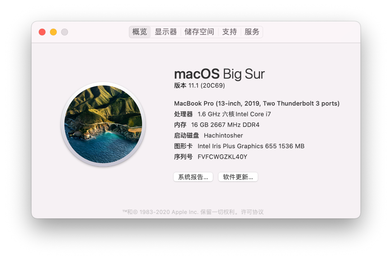 macOS BigSur 11.1 20C69 正式版 with Clover 5127原版镜像[双EFI版][UEFI and MBR] - 图11
