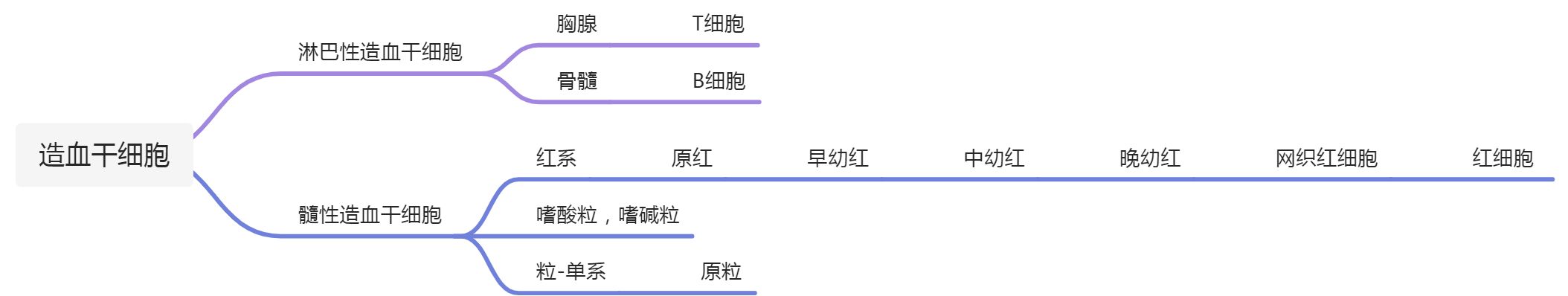 血液系统疾病 - 图2