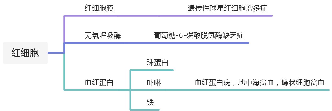 血液系统疾病 - 图4