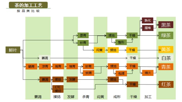 茶叶的分类 - 图4