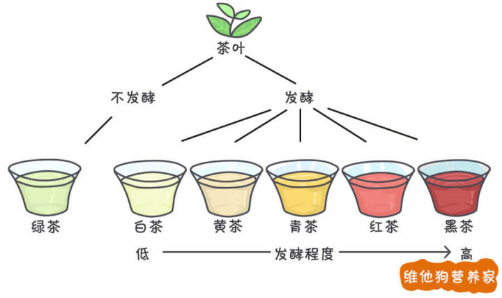 茶叶的分类 - 图1