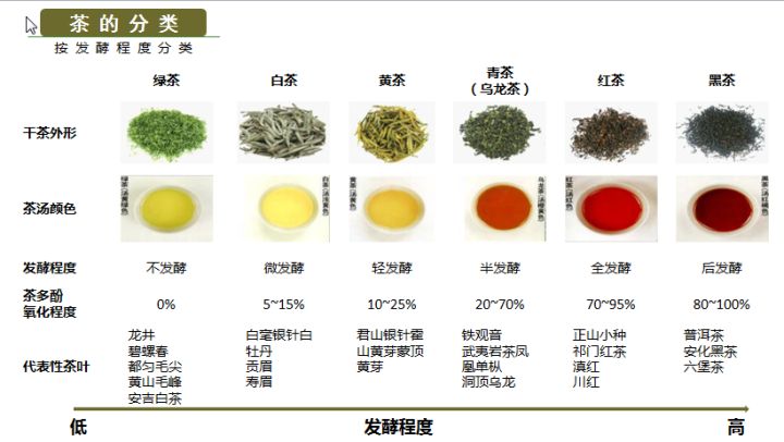 茶叶的分类 - 图3