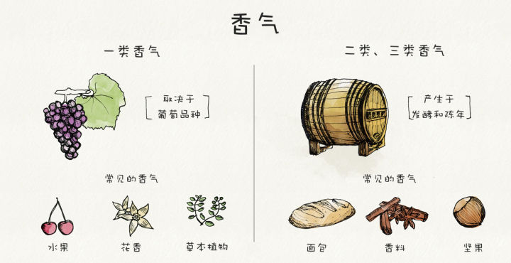 葡萄酒陈年 - 图8