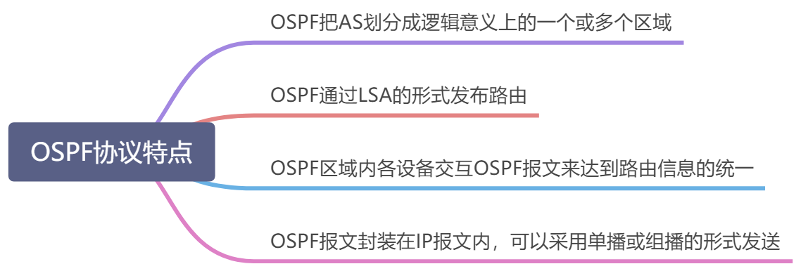 OSPFv2 - 图8