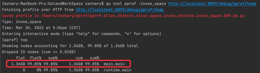 GO内存分析 - 图3