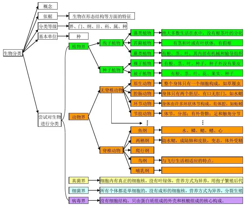 0402.数据类型、变量、进制 - 图6