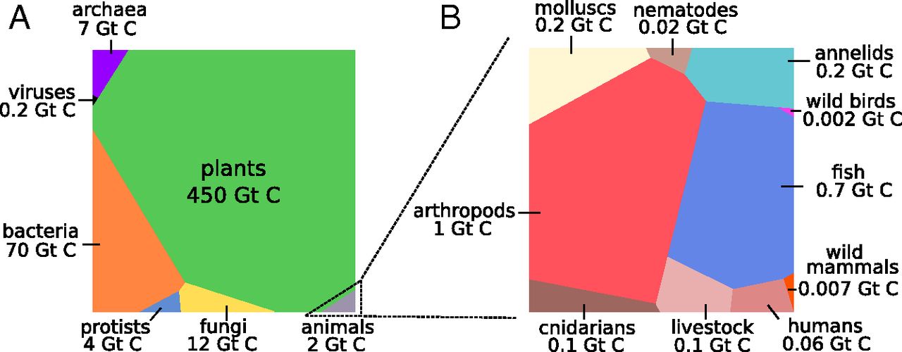 地球生物的分布 - 图1