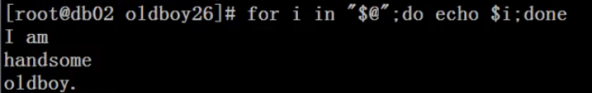 image-20220208103105773.png