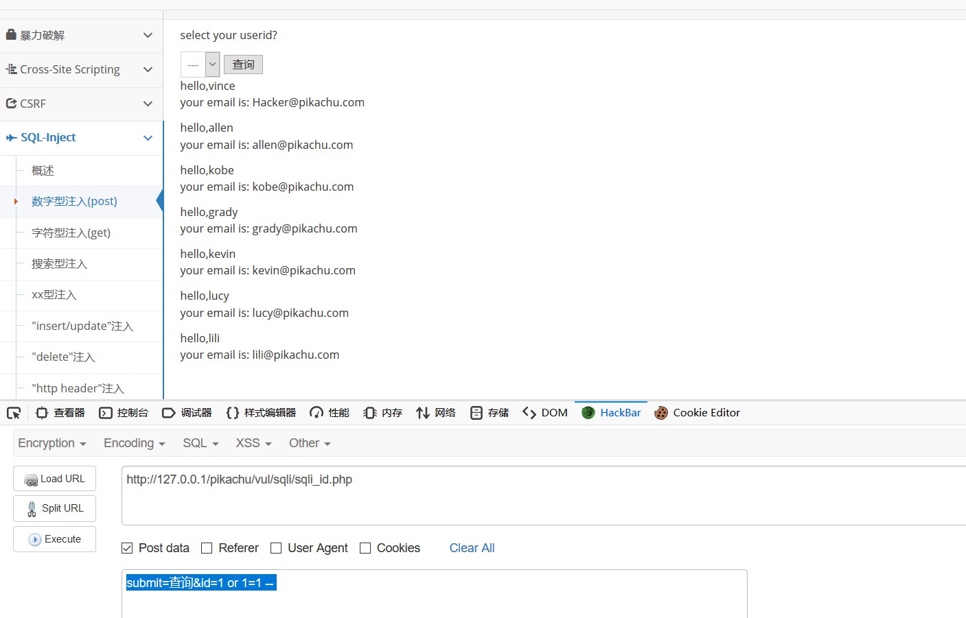 Pikachu漏洞靶场系列之SQL - 图2