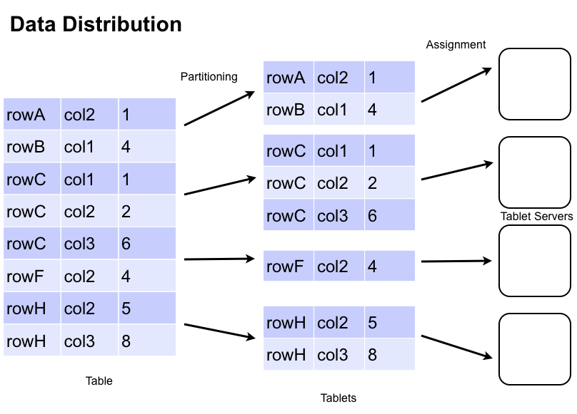 data_distribution.png