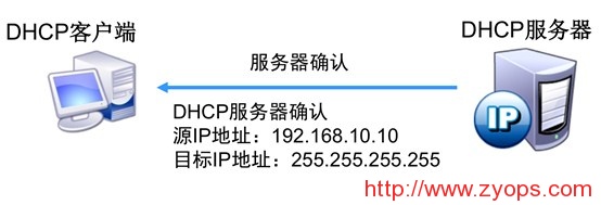 DHCP - 图5