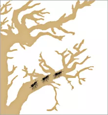 Notion 的支撑者 - 图4