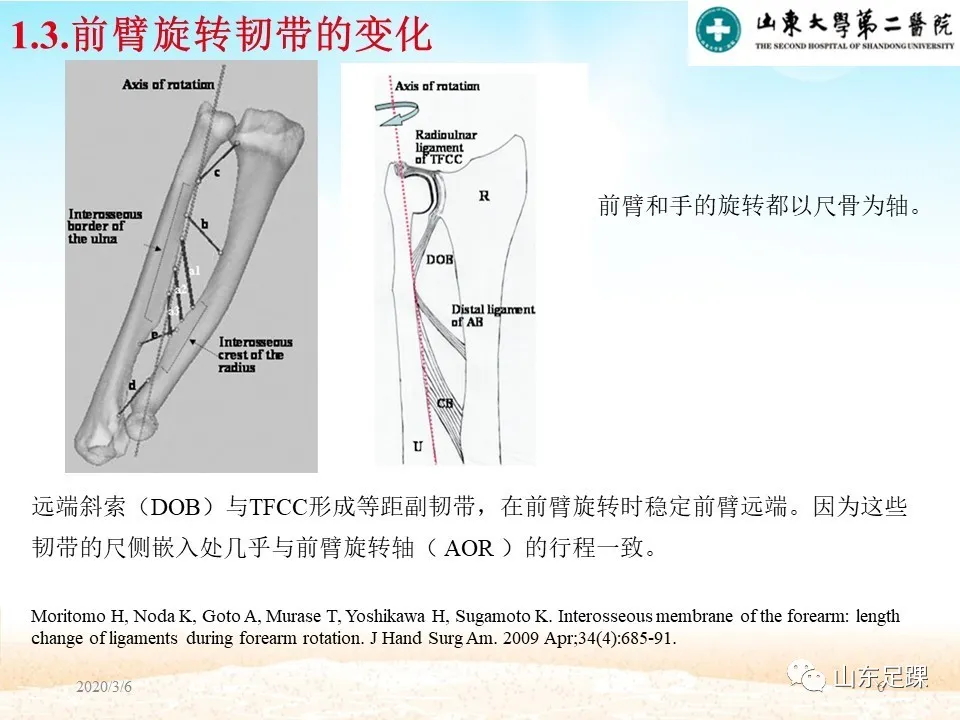 远端尺桡关节（DRUJ）不稳定的诊断与解剖重建 - 图6