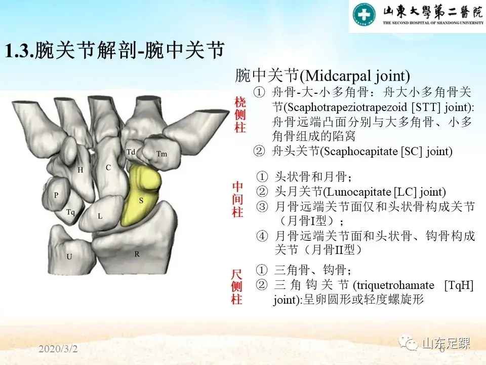 部分腕骨融合VS近排腕骨切除如何选择 - 图6