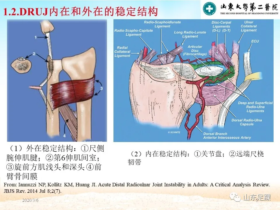 远端尺桡关节（DRUJ）不稳定的诊断与解剖重建 - 图5